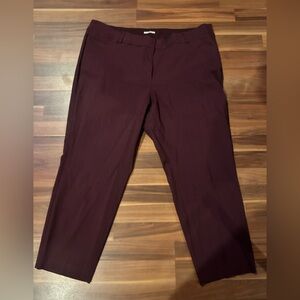 Lane Bryant “The Allie” purple pants